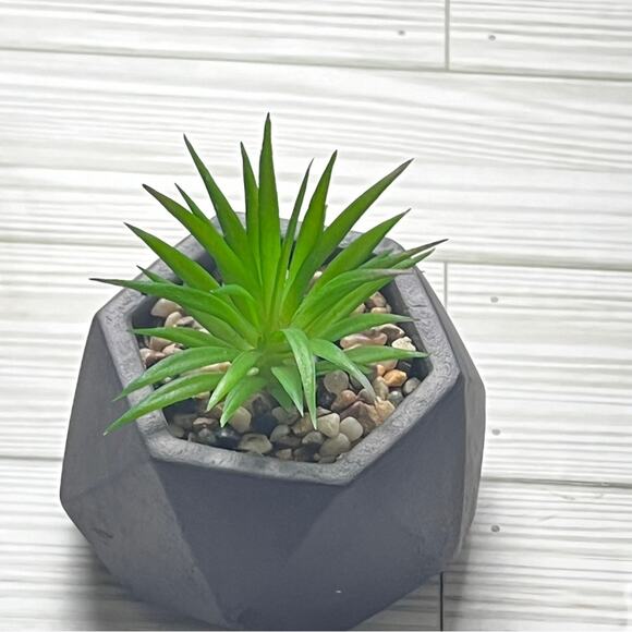 i Greenery Cement Pot Succulent  Decoration NWT - Picture 3 of 5